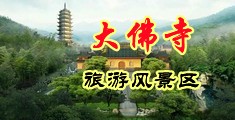 操最骚最骚的大黄片中国浙江-新昌大佛寺旅游风景区
